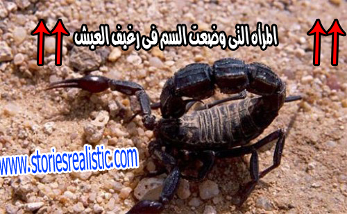 قصص واقعية مؤثرة