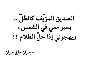 حكم عن الصداقة 