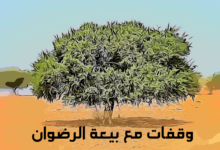 قصة بيعة الرضوان