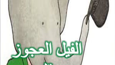 الفيل العجوز