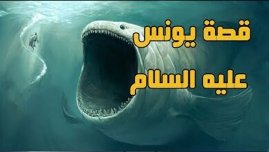 قصة يونس عليه السلام