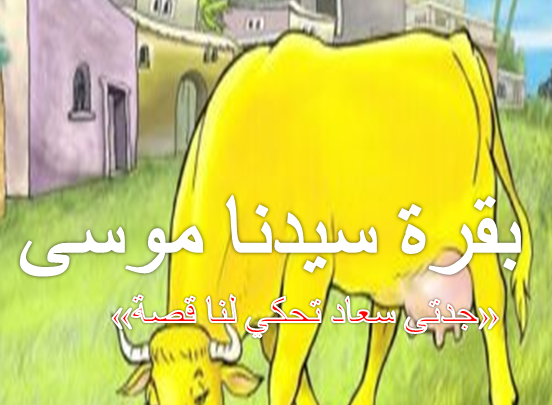 قصة بقرة سيدنا موسى