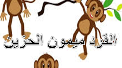 القرد ميمون الحزين