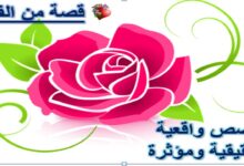 قصص من القلب (قصص واقعية حقيقية ومؤثرة).