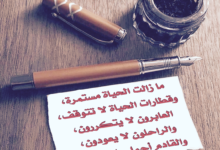 قصة الحياة مستمرة