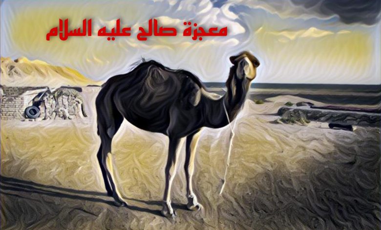 قصص الانبياء و الرسل